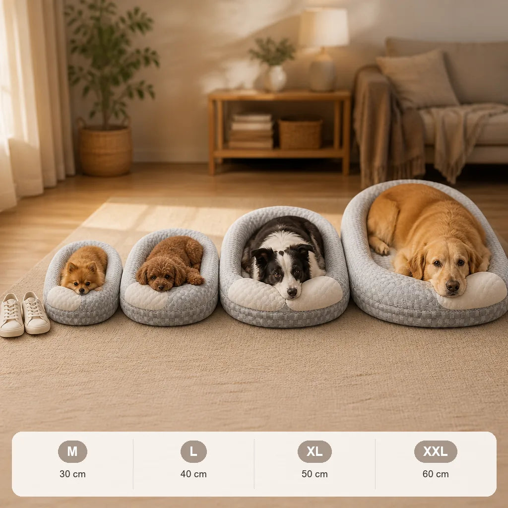 panier-hypoallergenique-pour-chien