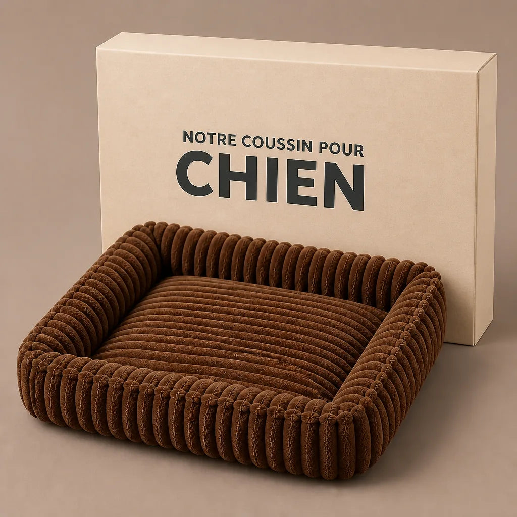 panier-lit-pour-chien