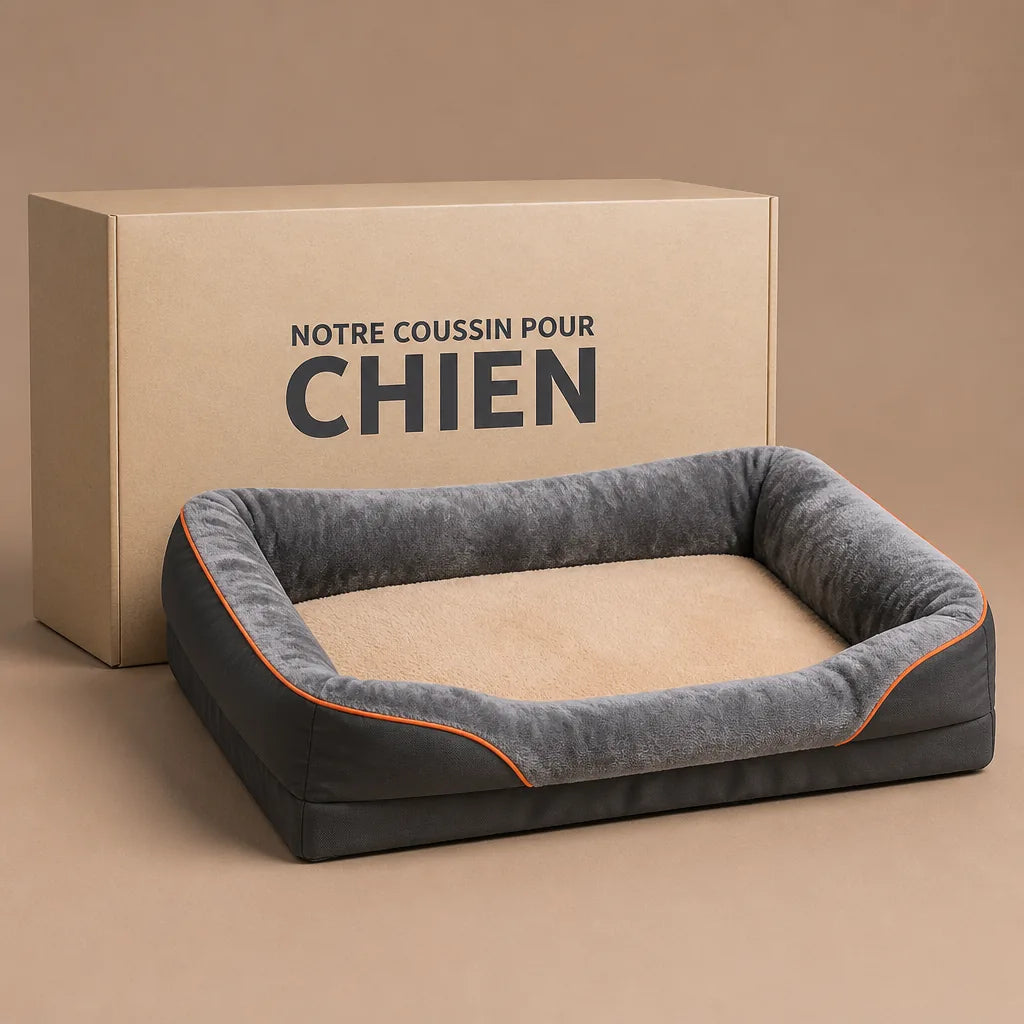 panier-orthopedique-pour-chien