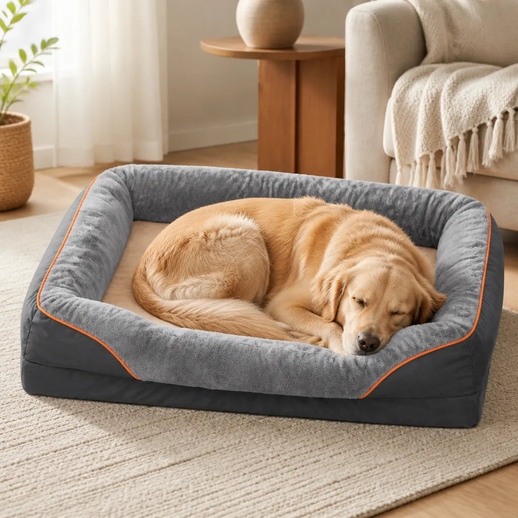 panier-orthopedique-pour-chien