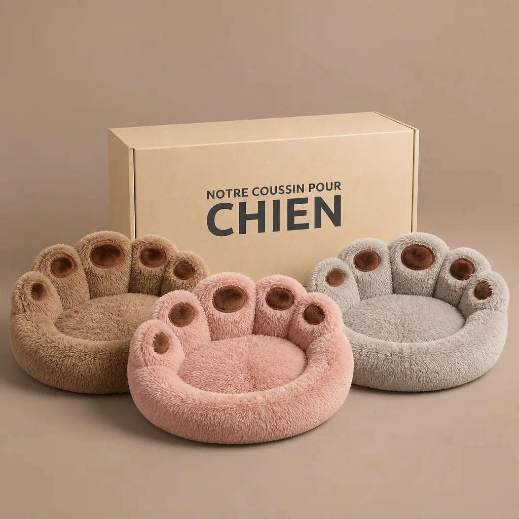 panier-pour-chien-american-staff