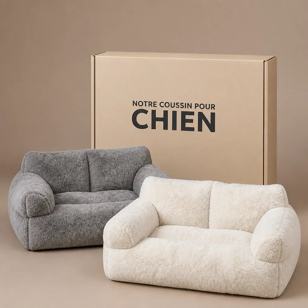 panier-pour-chien-maison