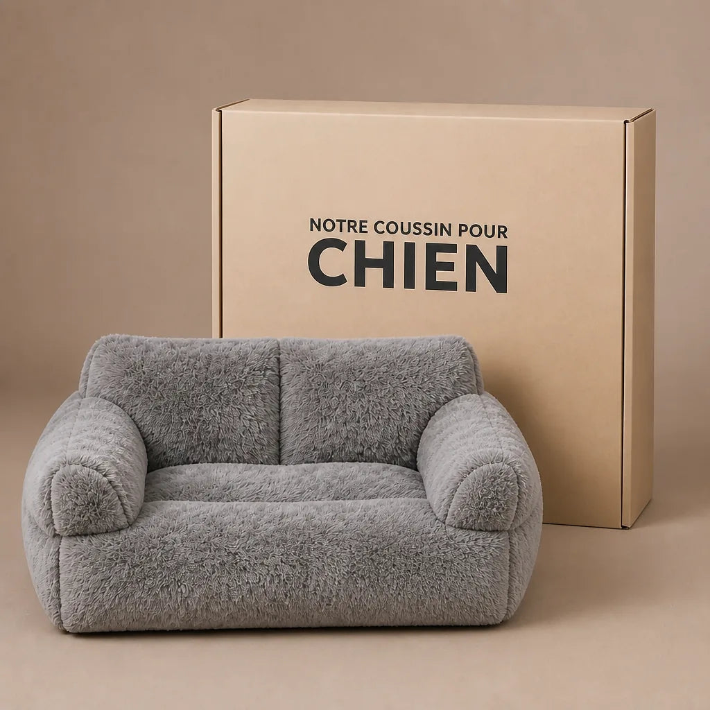 Panier Pour Chien Maison