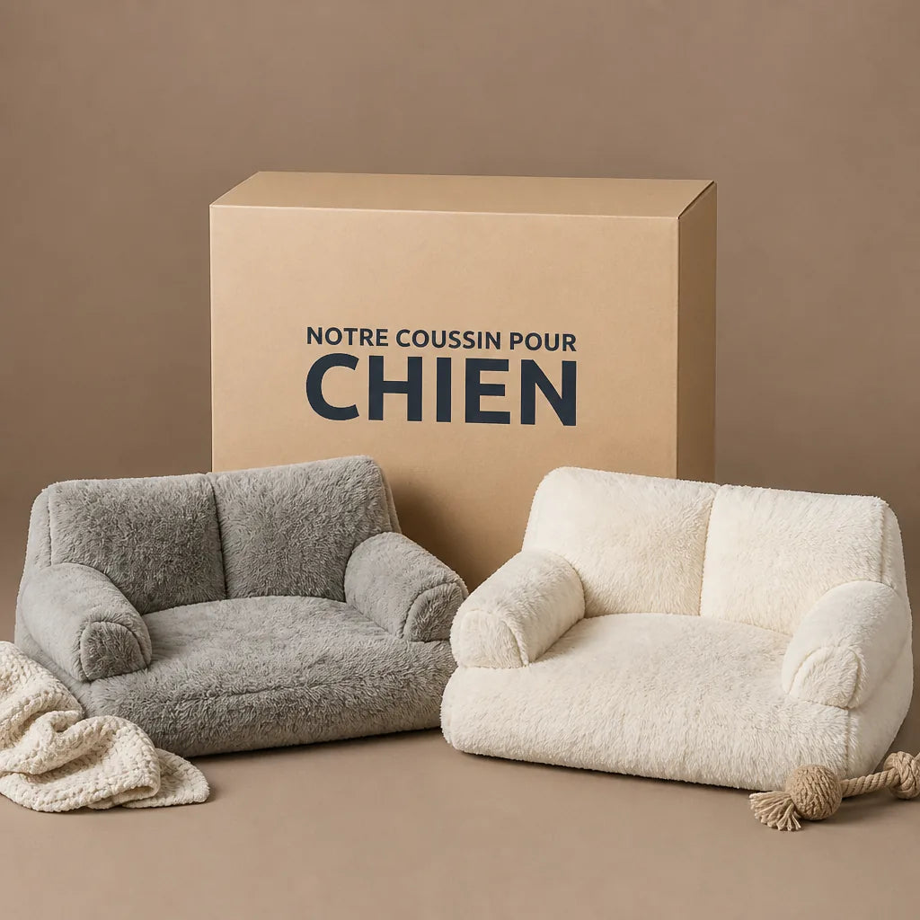 panier-pour-chien-xl
