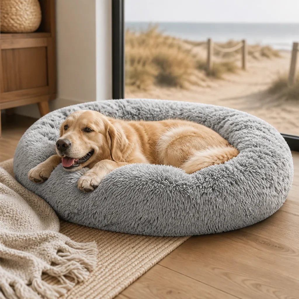 panier-pour-chien-xxl