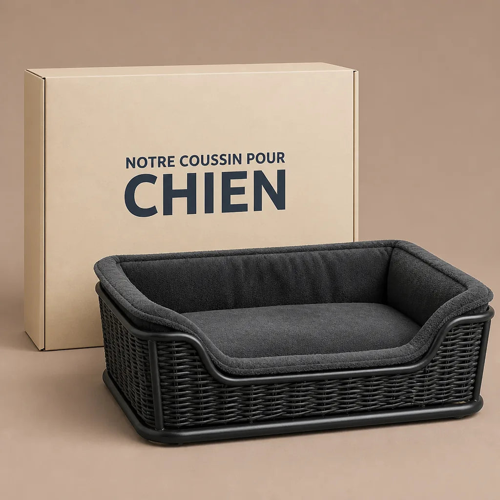 panier-velo-pour-chien-12-kg