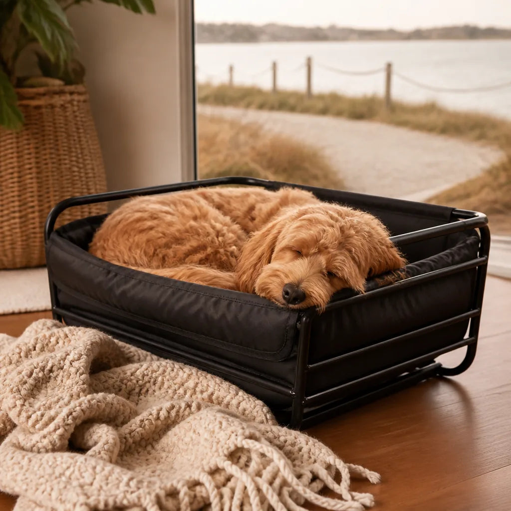 panier-velo-pour-chien-12-kg