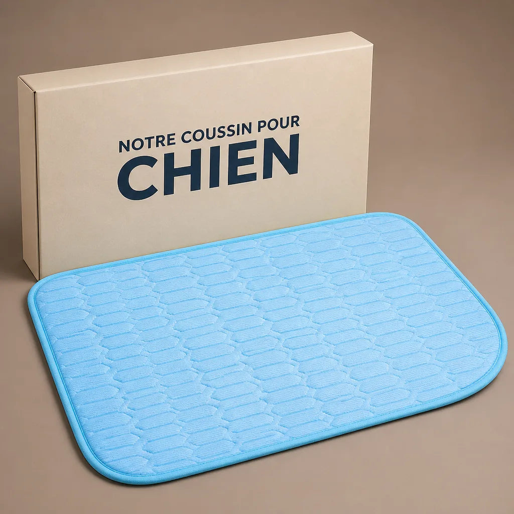 rouleau-de-tapis-pour-chien