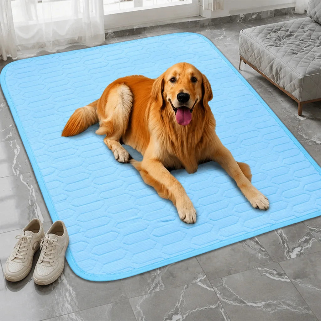rouleau-de-tapis-pour-chien