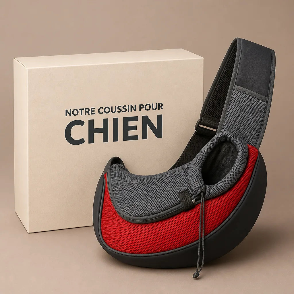 sac-a-main-et-transport-pour-chien-de-petite-taille