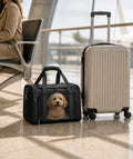 Sac De Transport Homologué Avion Pour Petit Chien