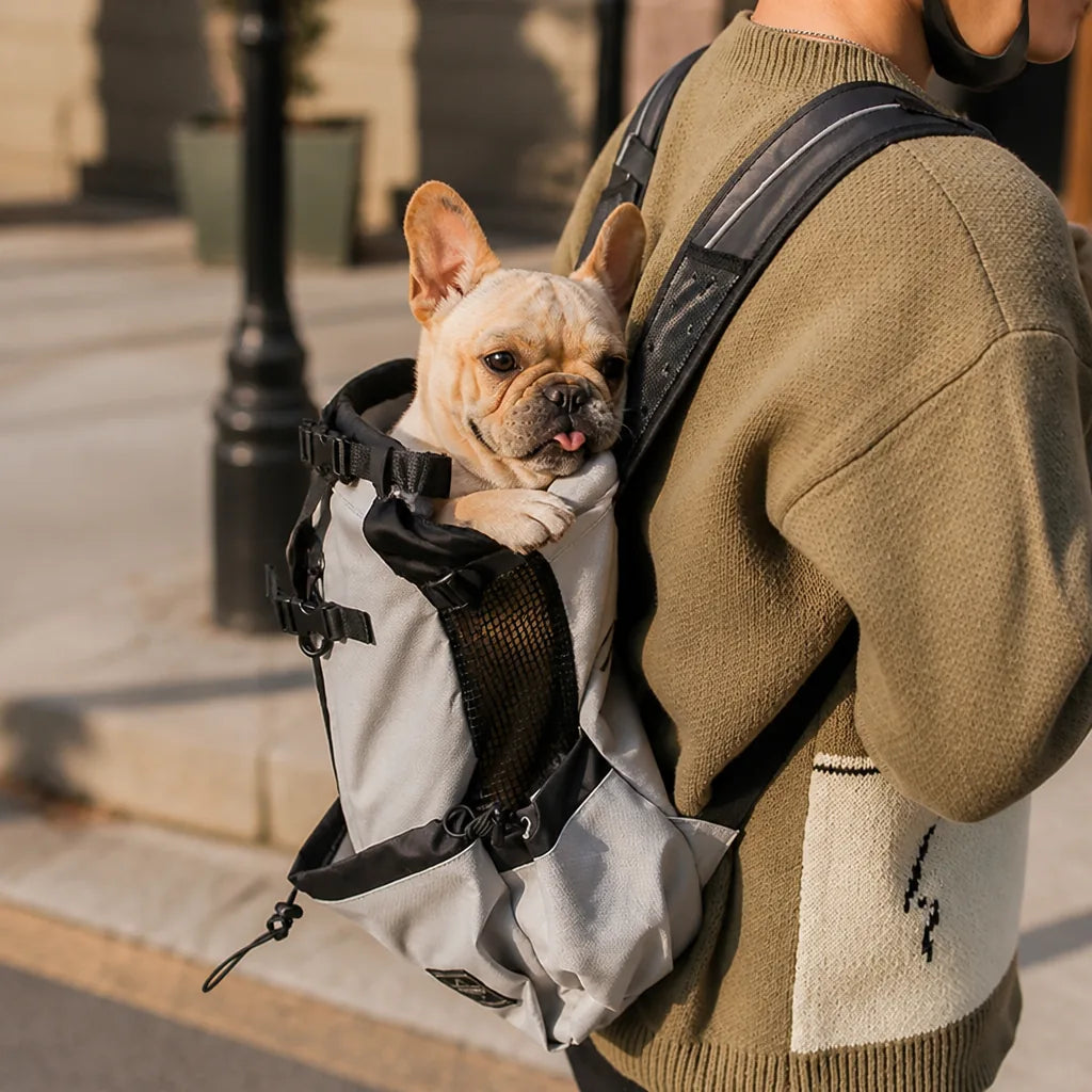 sac-de-transport-pour-chien-bouledogue-francais