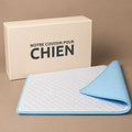 tapis-absorbant-pour-chien