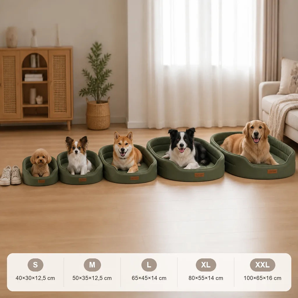 tapis-anti-acarien-pour-chien