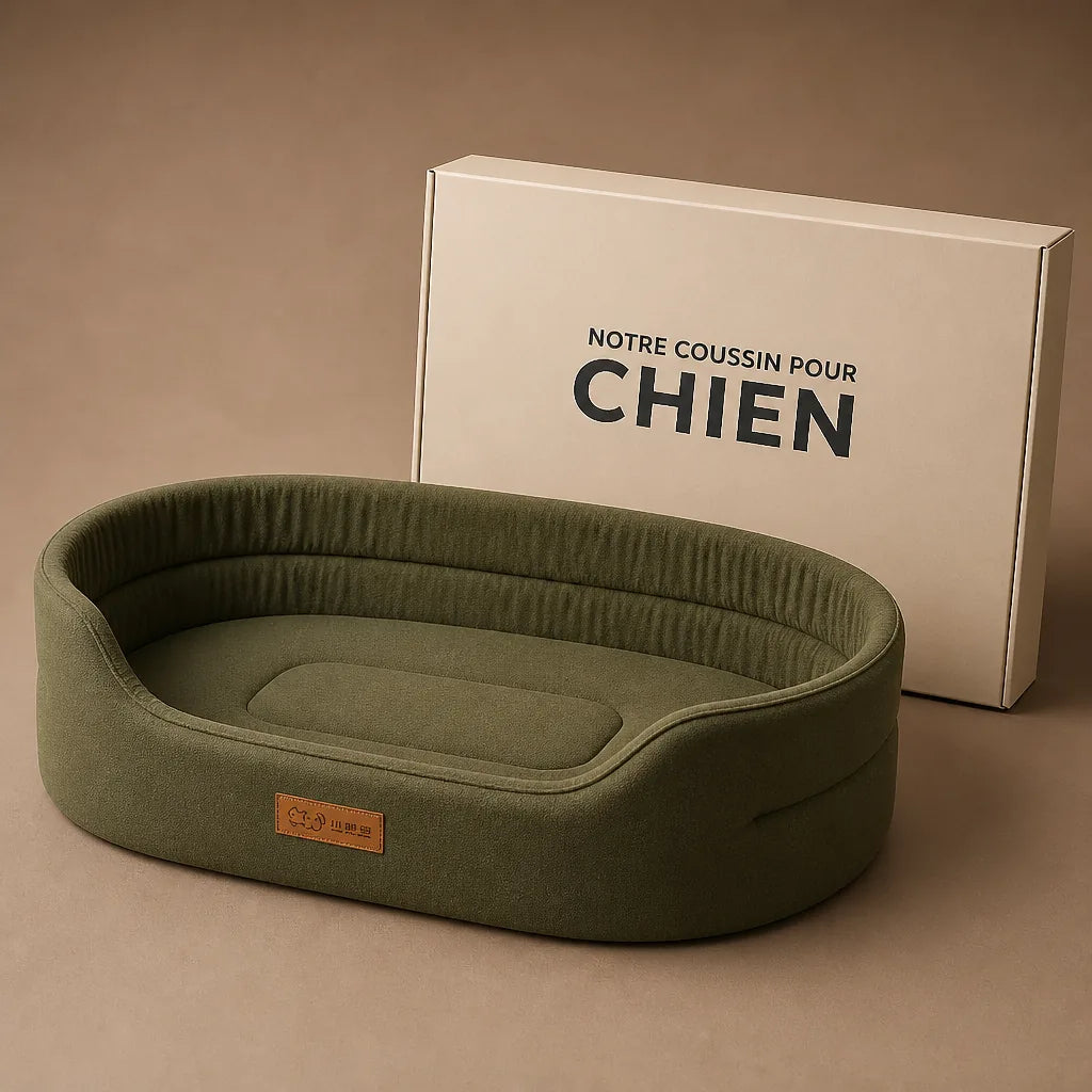Tapis Anti Acarien Pour Chien