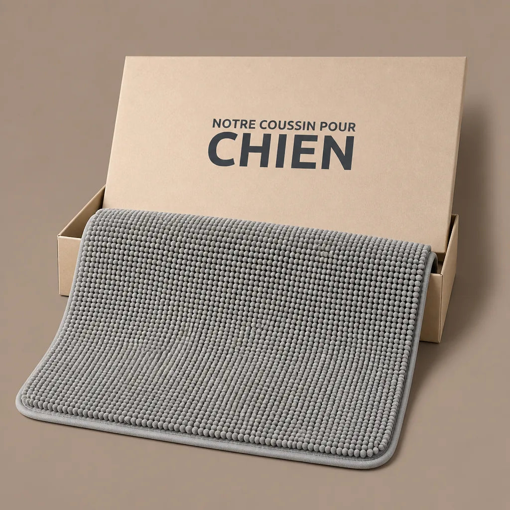 tapis-anti-boue-pour-chien