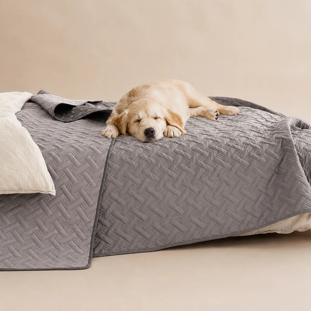 Tapis Anti Poils Pour Chien