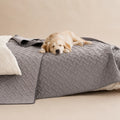 Tapis Anti Poils Pour Chien