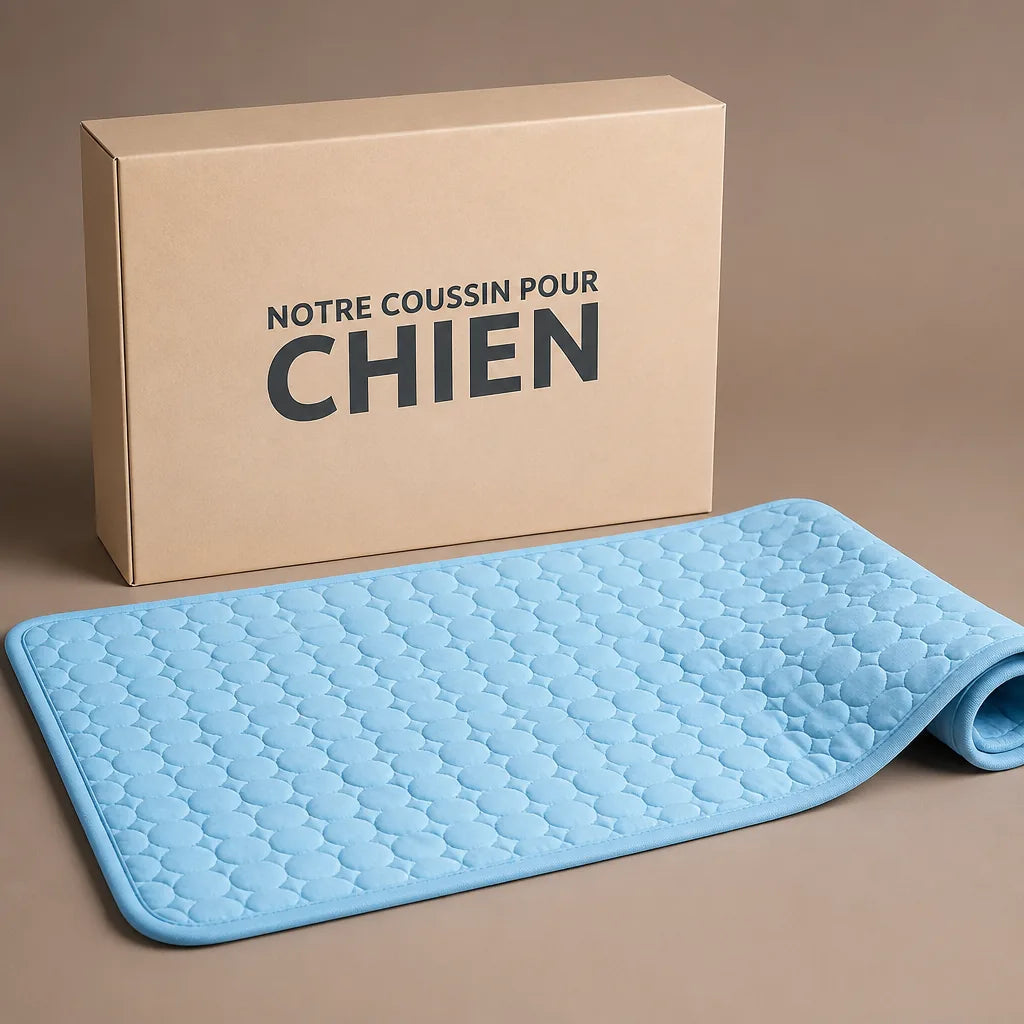 tapis-antiderapant-pour-chien