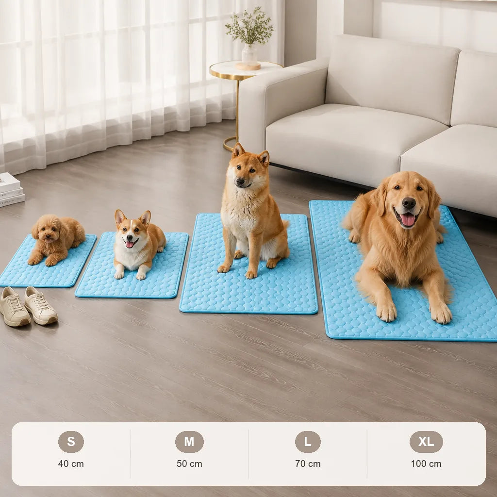 tapis-antiderapant-pour-chien