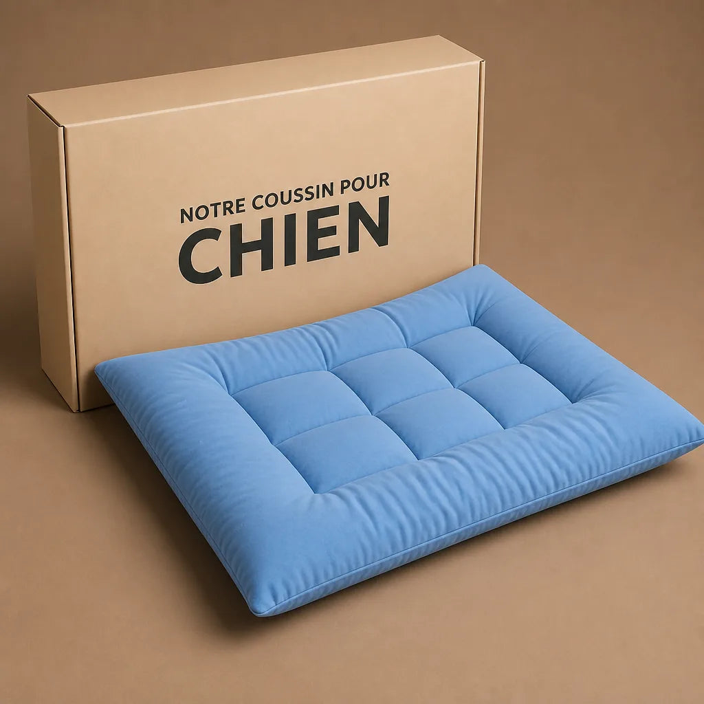 Tapis Canape Pour Chien