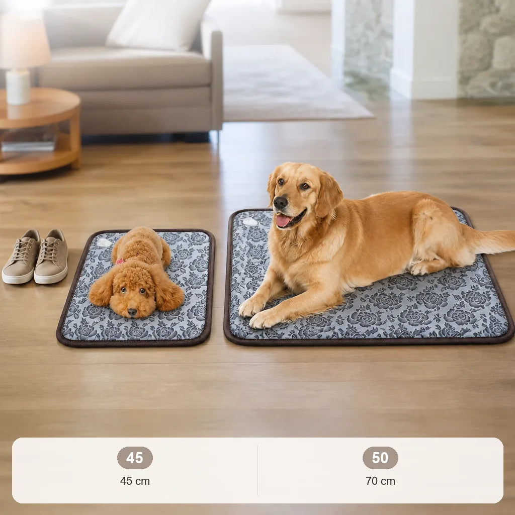 tapis-chauffant-pour-gros-chien
