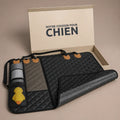 tapis-chien-pour-voiture