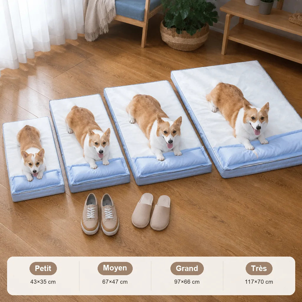 tapis-coussin-pour-chien-de-grande-taille
