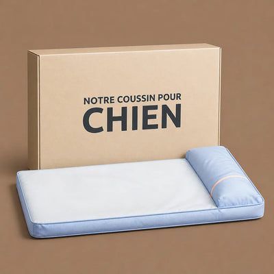 VOTRE ARTICLE