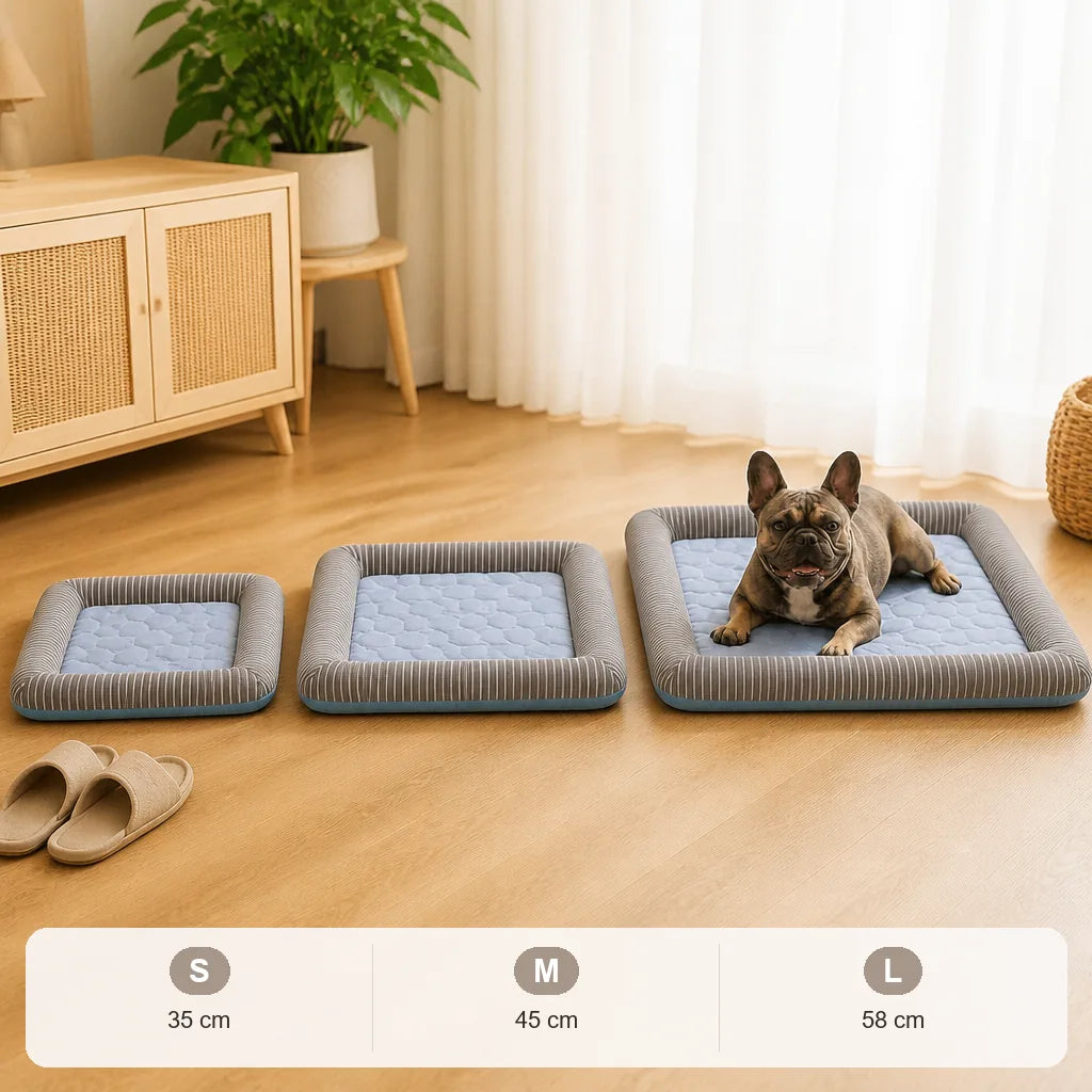 tapis-coussin-pour-chien