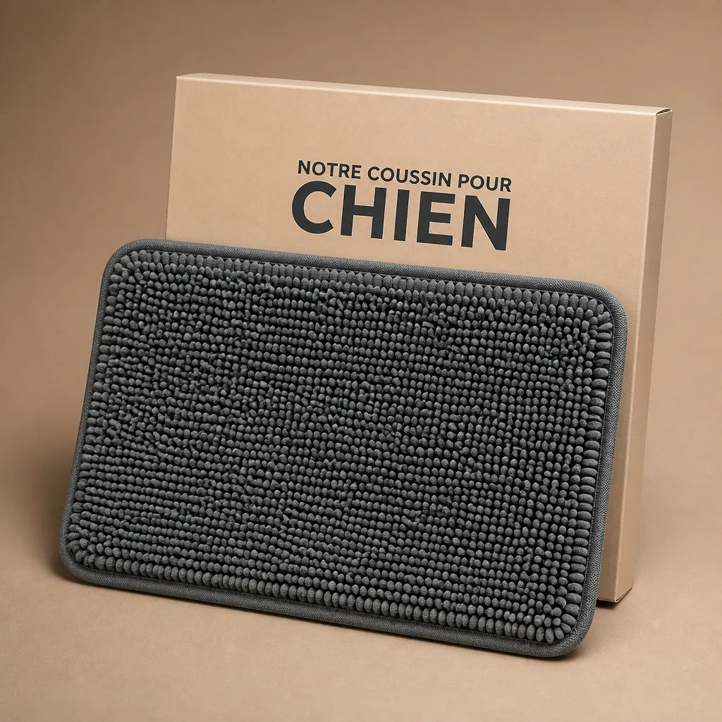 Tapis D'Entrée Pour Chien