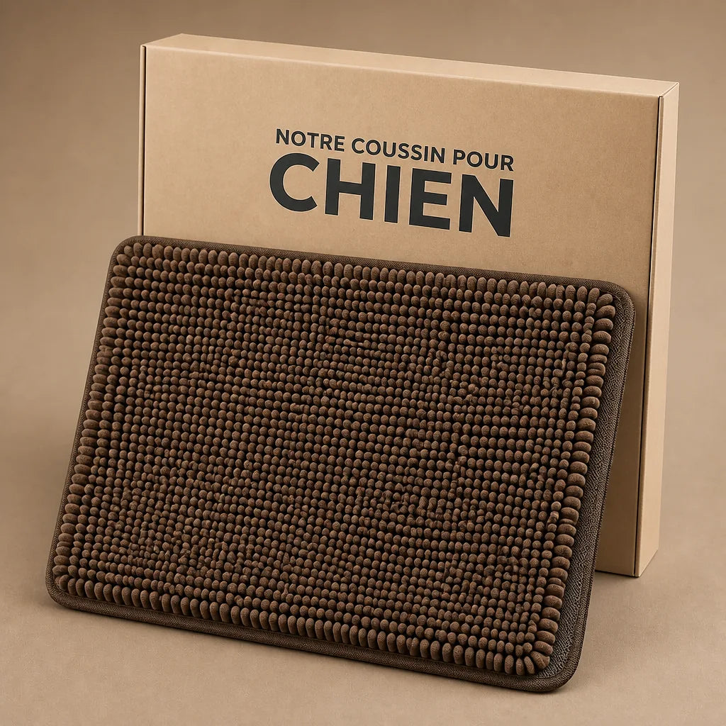 Tapis D'Entrée Pour Chien