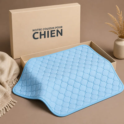COUSSIN SOLO