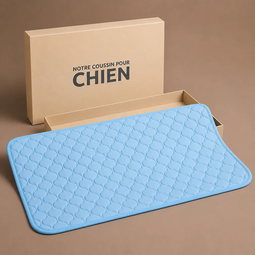 Tapis De Voyage Pour Chien