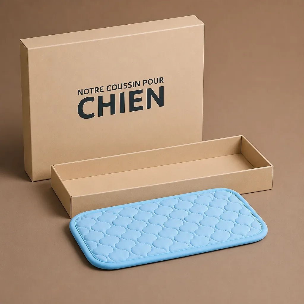 Tapis De Voyage Pour Chien