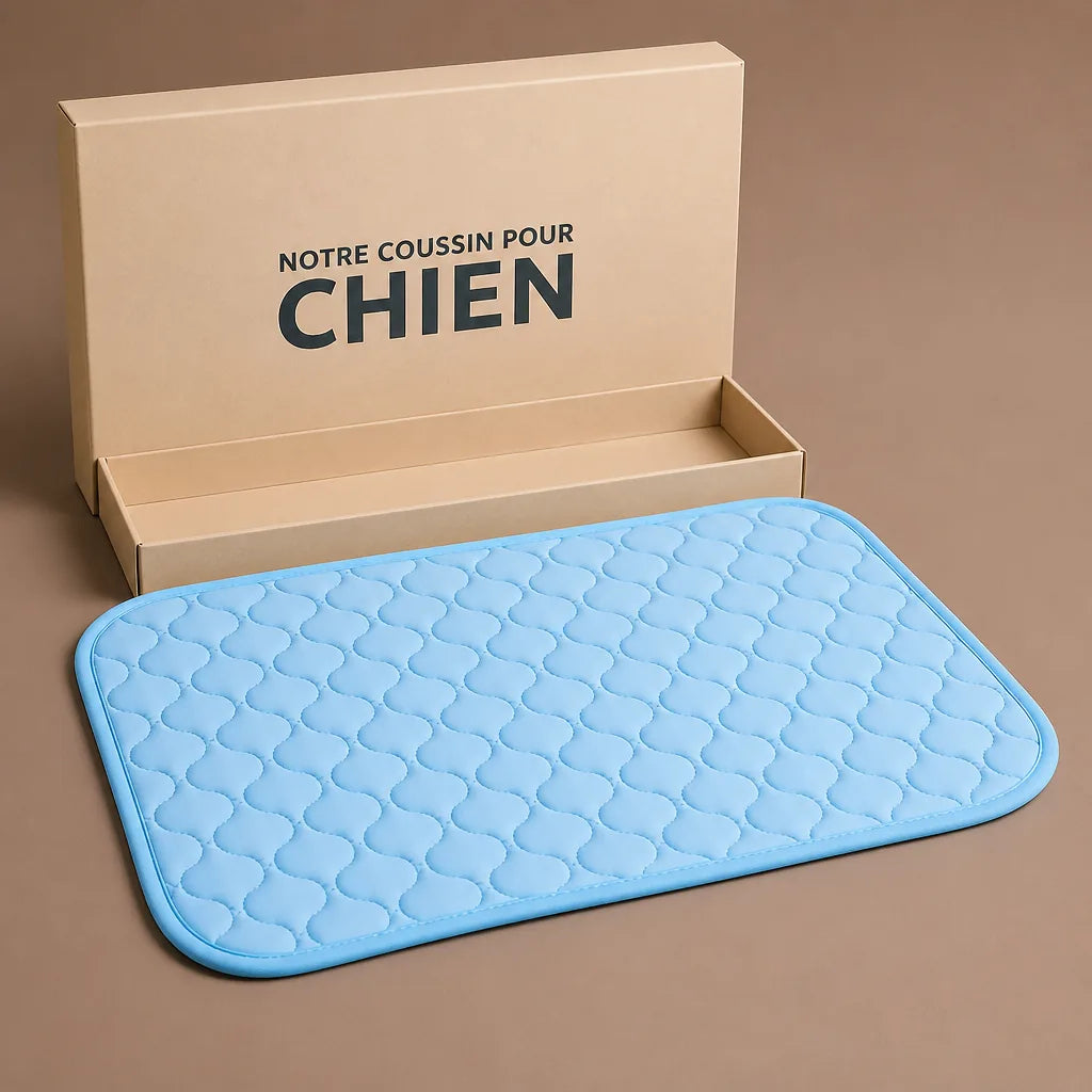 Tapis De Voyage Pour Chien