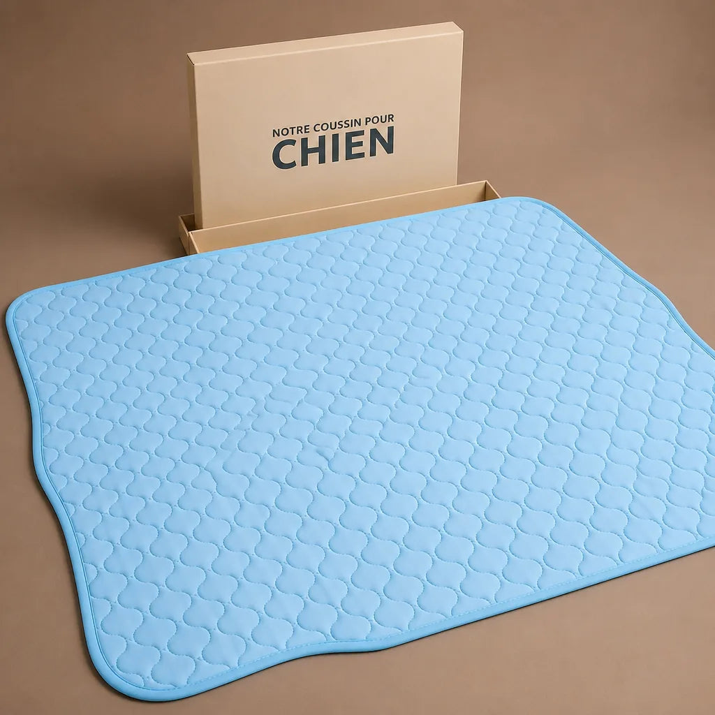 Tapis De Voyage Pour Chien