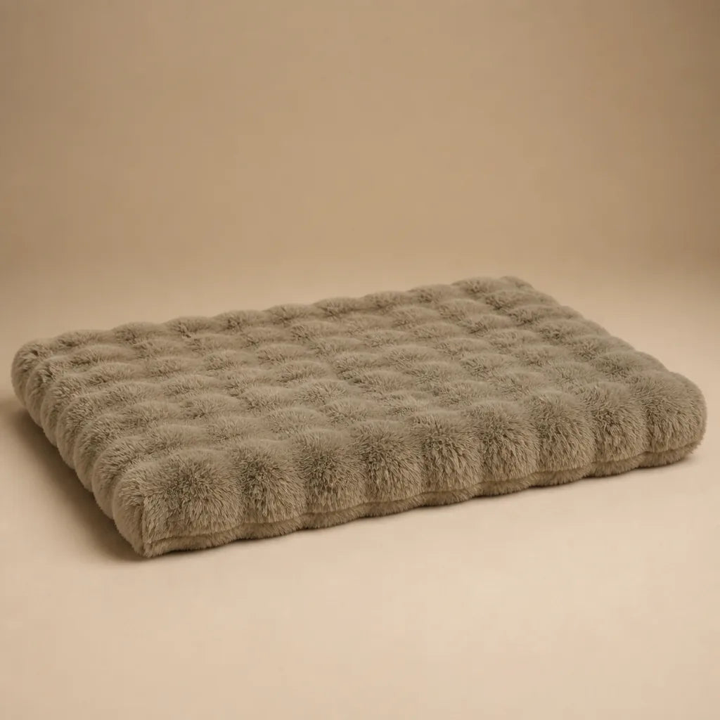 Tapis Douillet Pour Chien