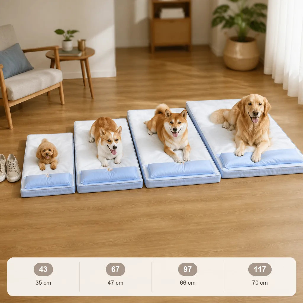 tapis-orthopedique-pour-chien
