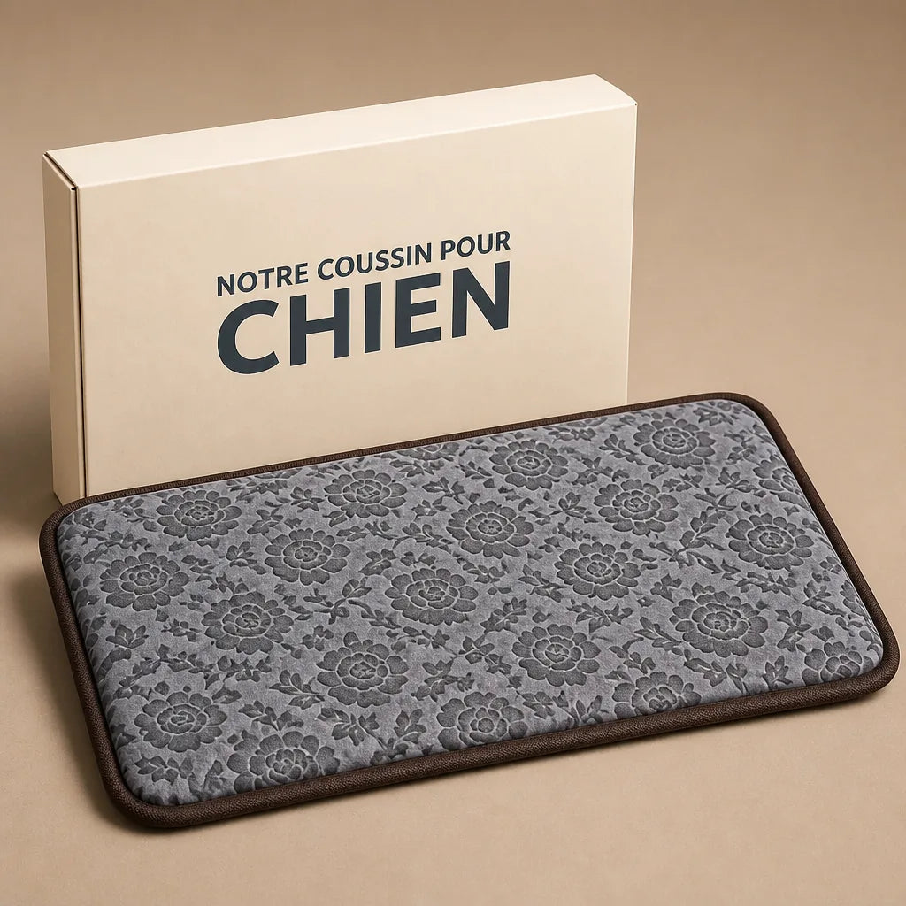 Tapis Pour Chien Chauffant