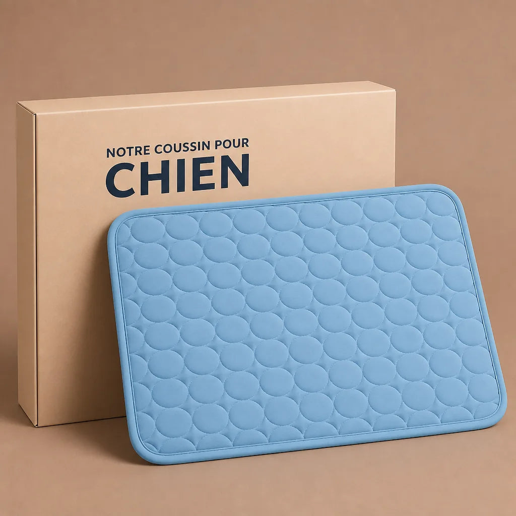 Tapis Pour Chien Lavable