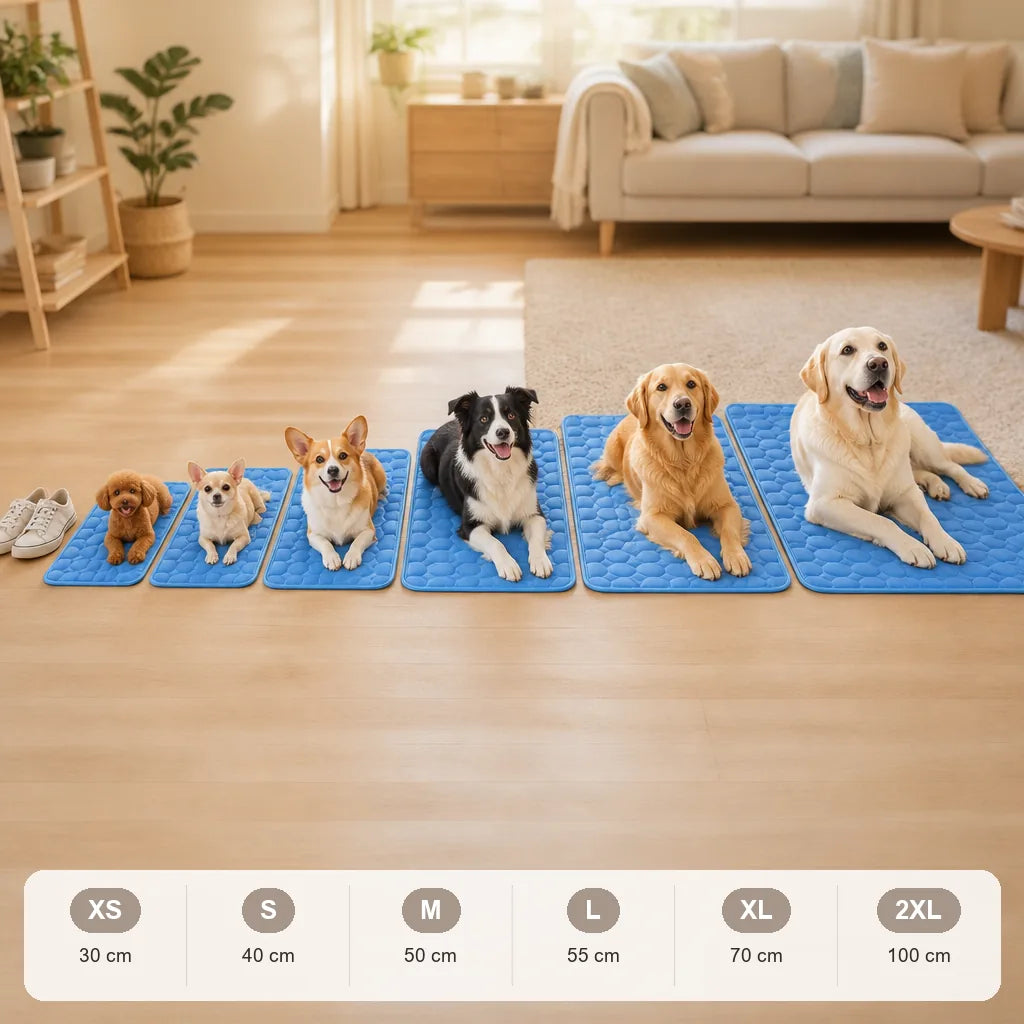 tapis-pour-chien-lavable