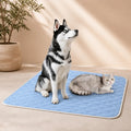 Tapis Pour Chien Xxl