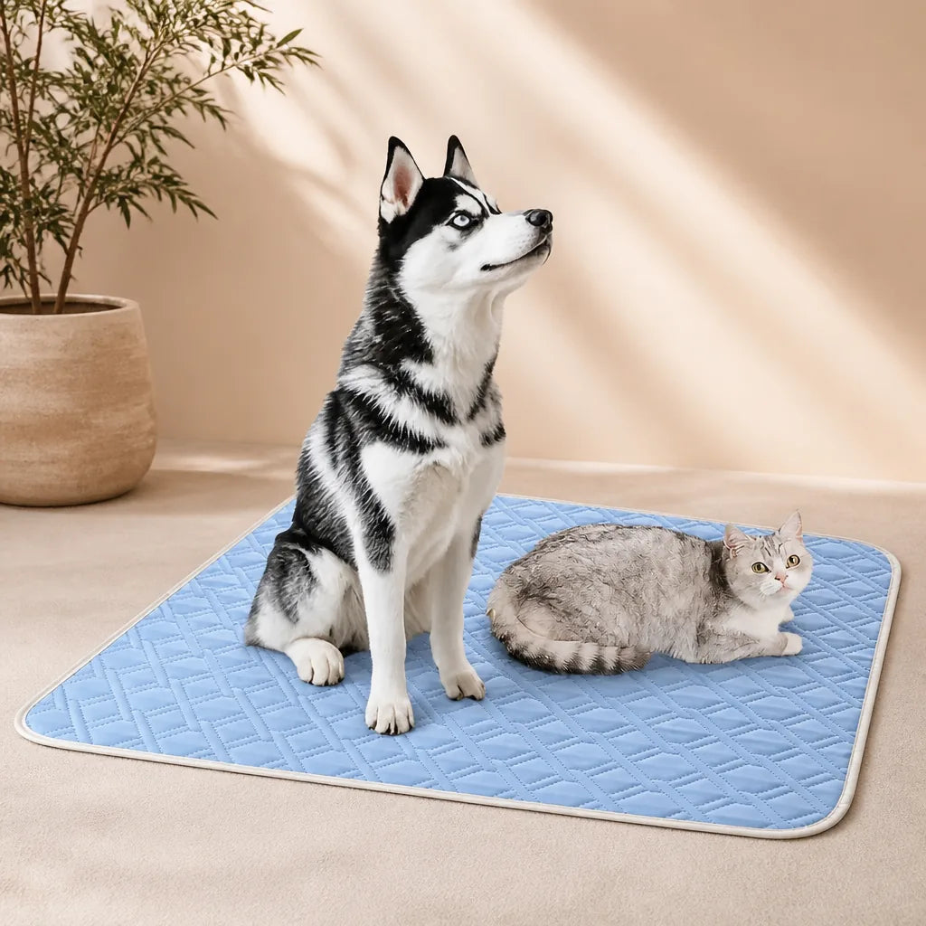 Tapis Pour Chien Xxl