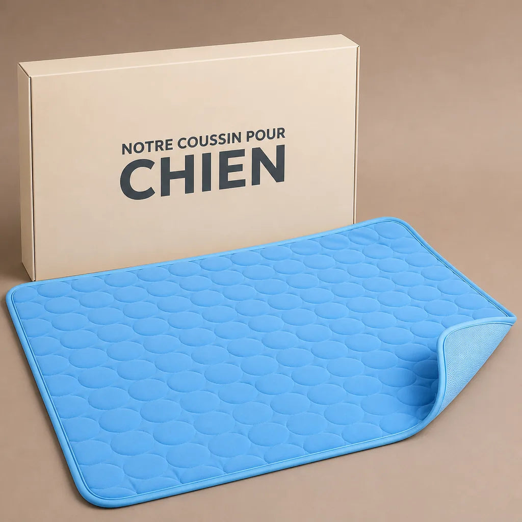 tapis-pour-chien