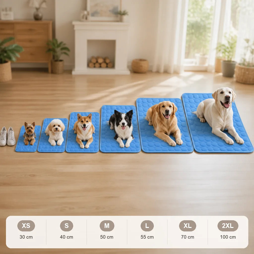 tapis-pour-chien