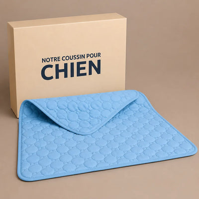 COUSSIN SOLO