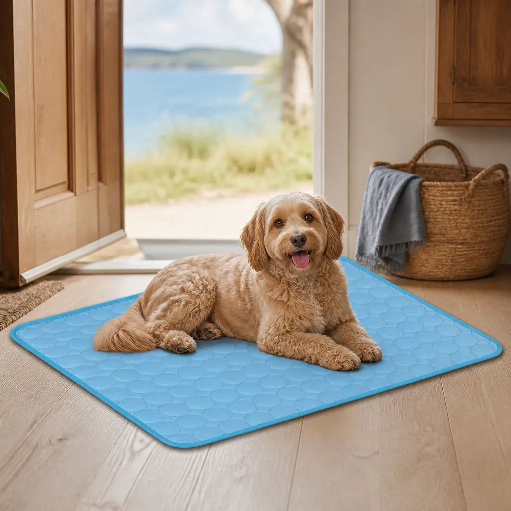 tapis-pour-vieux-chien