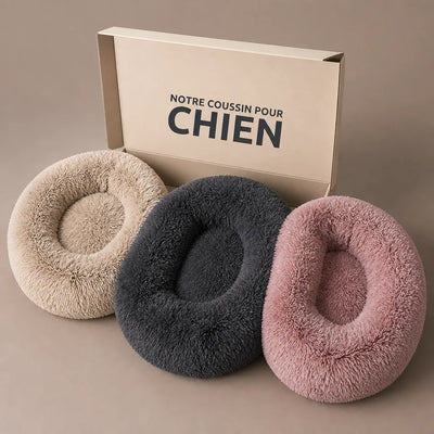 COUSSIN SOLO