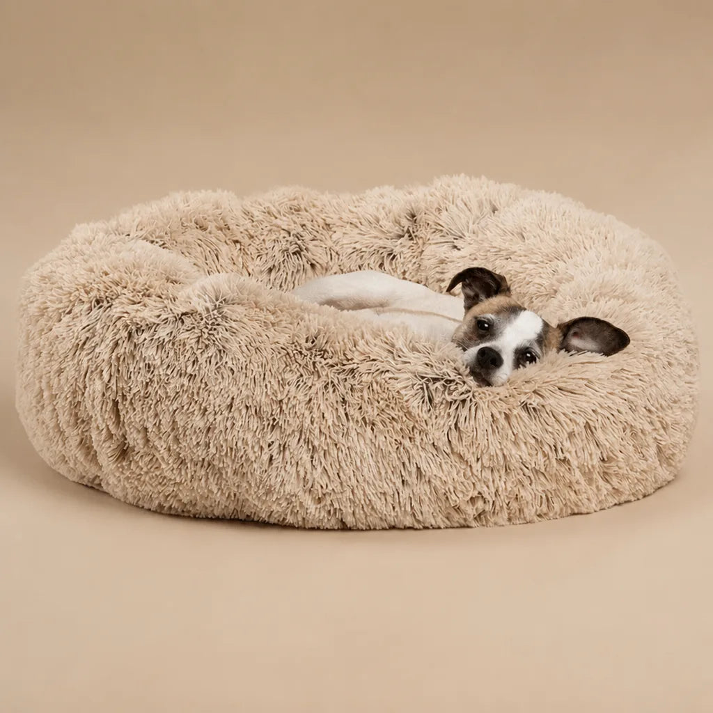 Tapis Rond Pour Chien
